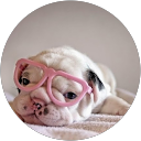 Bany K. profile picture